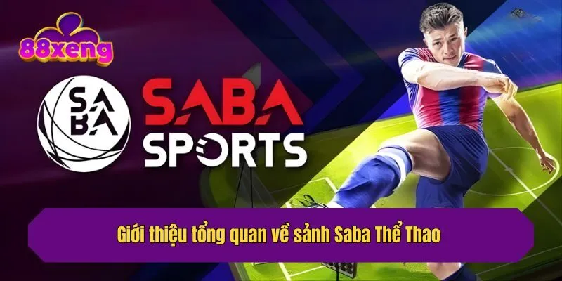 Giới thiệu tổng quan về sảnh Saba Thể Thao